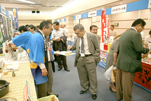 taikai8