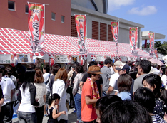 photo11