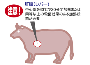 photo15