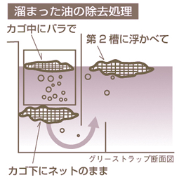 photo17